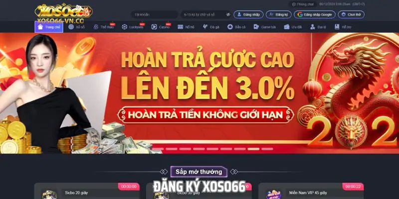 Hoàn Trả Cược Lên Đến 3% - Ưu Đãi Cho Hội Viên Tích Cực 2 hoàn trả cược lên đến 3%