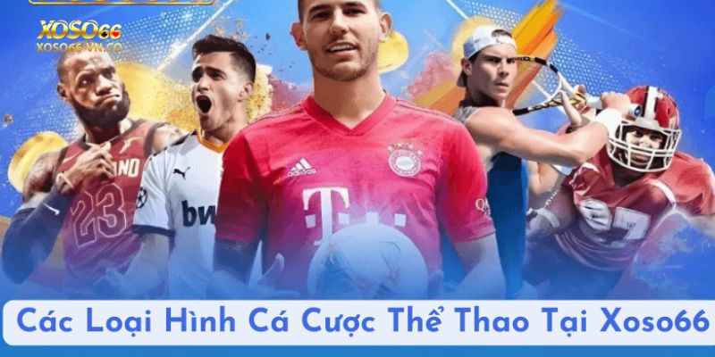 Sảnh Cược Thể Thao Xoso66 Có Gì Hấp Dẫn Đáng Tham Gia? 2 the thao xoso66 2